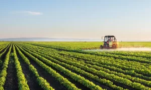 Types of Farming in Kenya