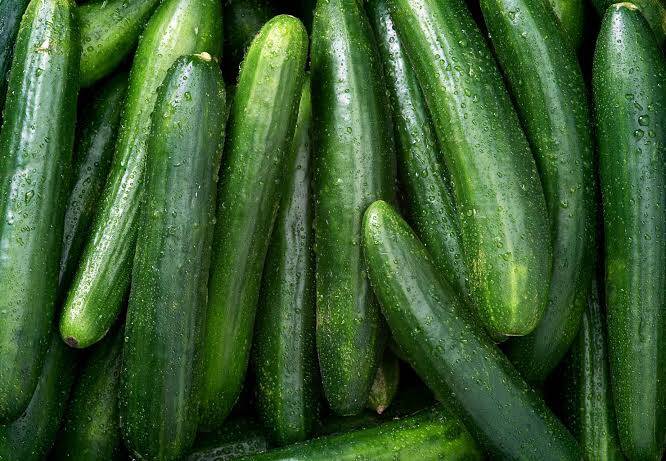 Cucumber Farming in Kenya