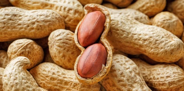 Ground Nut Farming in Kenya