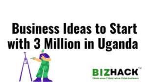 Business to start with 3 Million in Uganda