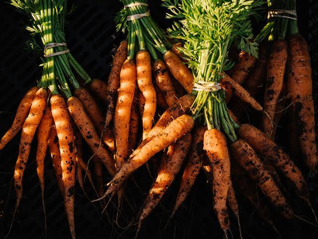 Carrot Farming in Kenya