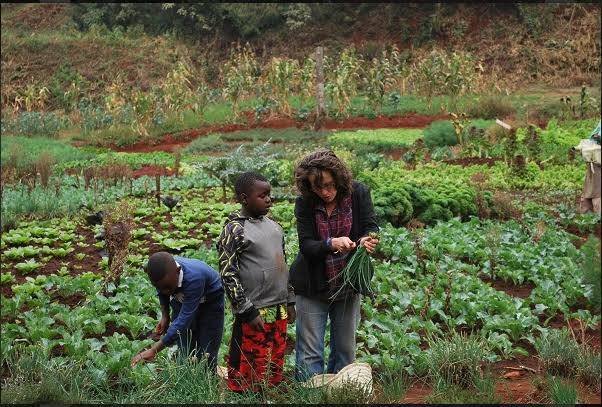 Organic farming in kenya