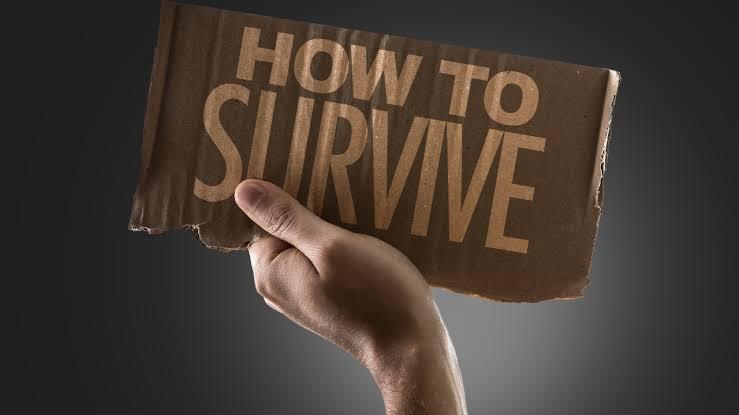 How to Survive without a Job Comfortably