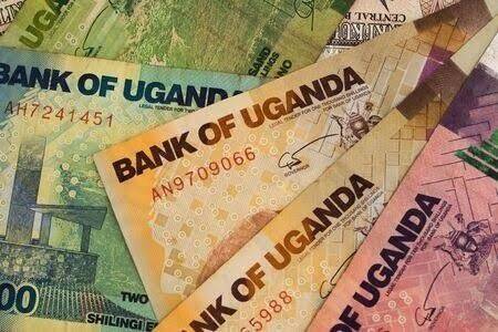 What Business can I Start with 200k in Uganda