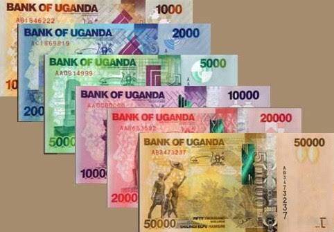 What Business can I Start with Small Capital in Uganda