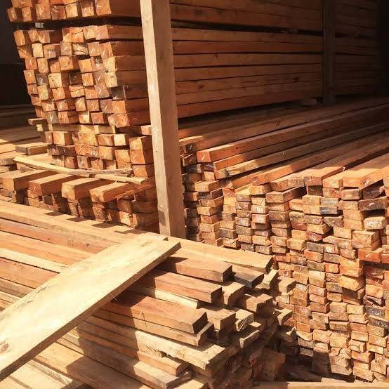 How to Start a Timber Business in Kenya