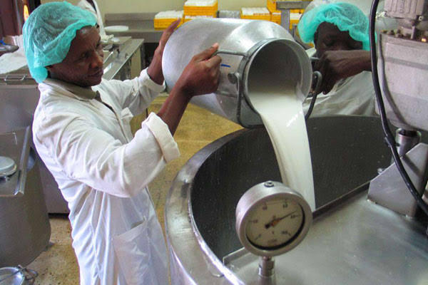 How to start a Milk Business in Kenya