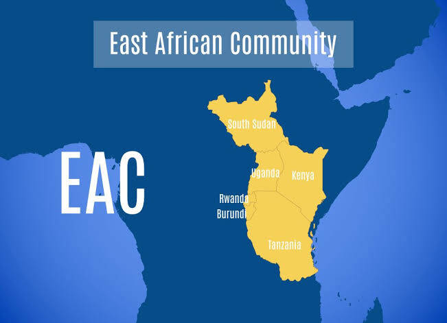 Six Problems Facing the Current East African Community