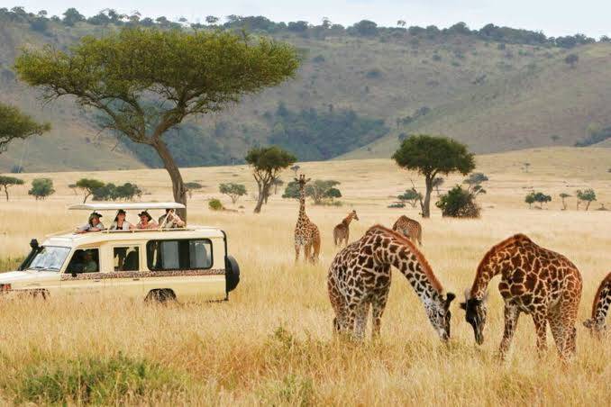 List of Problems Facing Tourism in Kenya
