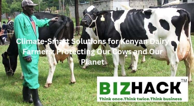 Climate-Smart Solutions for Kenyan Dairy Farmers