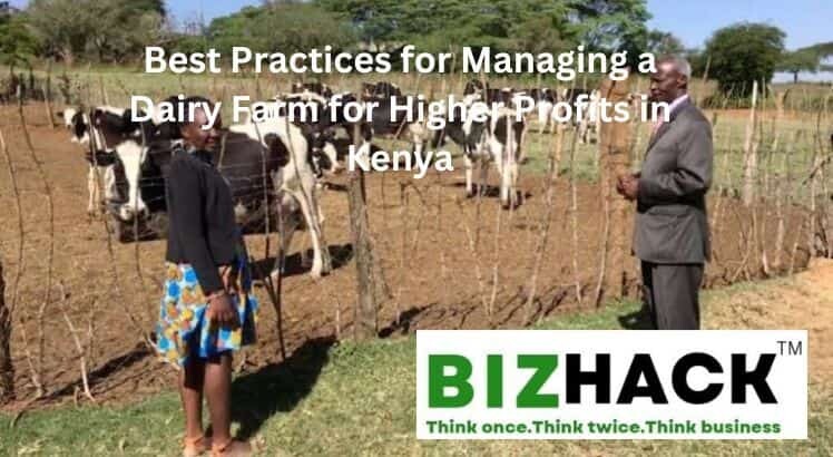 Best Practices for Managing a Dairy Farm for Higher Profits in Kenya