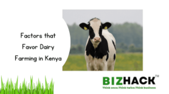 Factors that Favor Dairy Farming in Kenya
