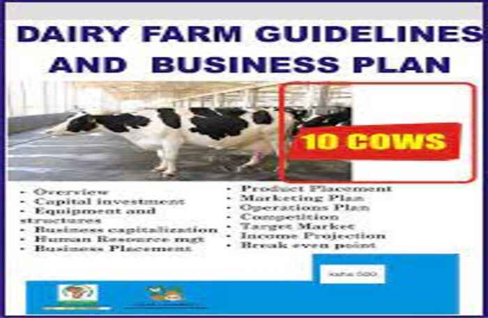 How to Create a Dairy Farm Business Plan