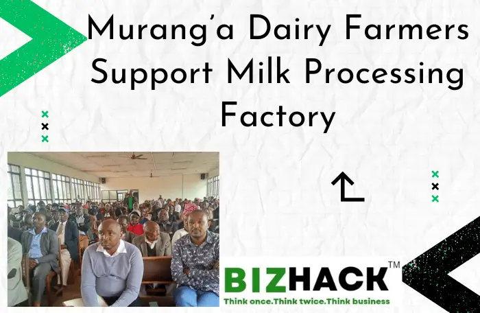 Murang’a Dairy Farmers Support Milk Processing Factory