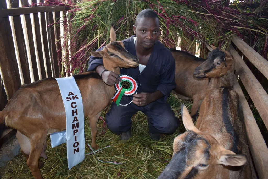 Macharia dairy goat farming Bizhack Kenya interview